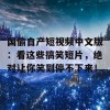 国偷自产短视频中文版：看这些搞笑短片，绝对让你笑到停不下来！