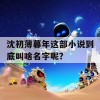 沈初薄暮年这部小说到底叫啥名字呢？