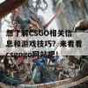 想了解CSGO相关信息和游戏技巧？来看看csgogo网站吧！