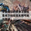 辛德瑞拉的梦想之旅在星光下绽放出无限可能与奇迹