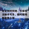 无论何时何地，小镇生活触手可及，随时随地都能做小镇