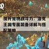 提升宠物战斗力：洛克王国专属装备详解与搭配策略