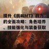 提升《我叫MT》战力的全面攻略：角色培养、技能强化与装备获取技巧