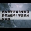 想知道琴团长有哪些获得的途径吗？琴团长如何获得