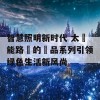 智慧照明新时代 太陽能路燈的產品系列引领绿色生活新风尚