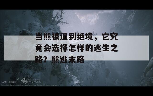 当熊被逼到绝境，它究竟会选择怎样的逃生之路？熊逃末路