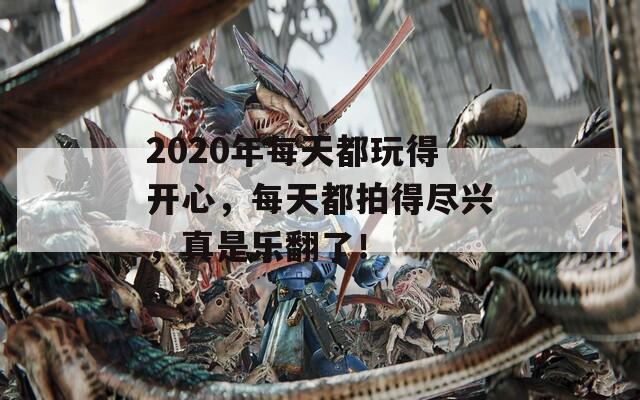 2020年每天都玩得开心，每天都拍得尽兴，真是乐翻了！