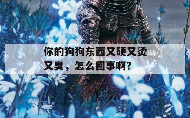 你的狗狗东西又硬又烫又臭，怎么回事啊？