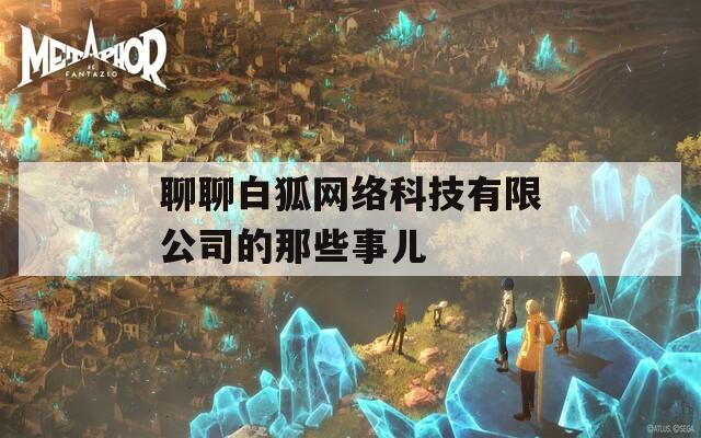 聊聊白狐网络科技有限公司的那些事儿