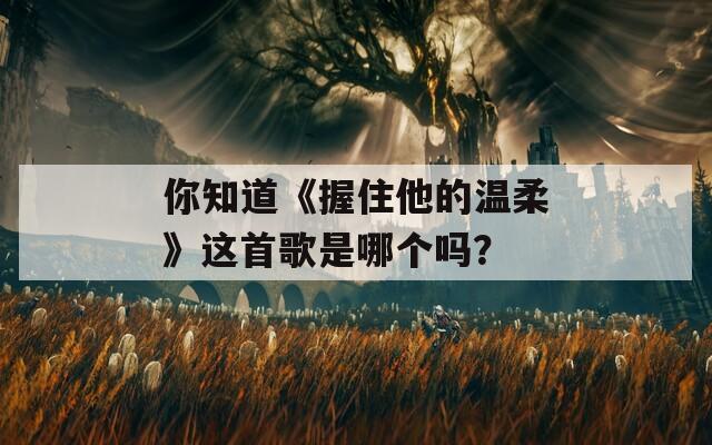 你知道《握住他的温柔》这首歌是哪个吗？