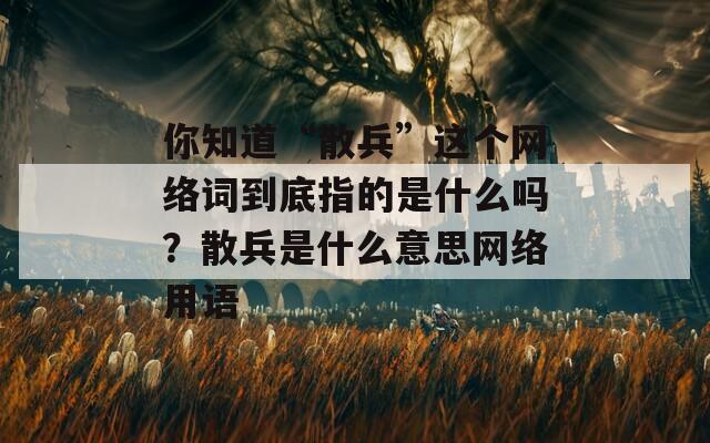 你知道“散兵”这个网络词到底指的是什么吗？散兵是什么意思网络用语