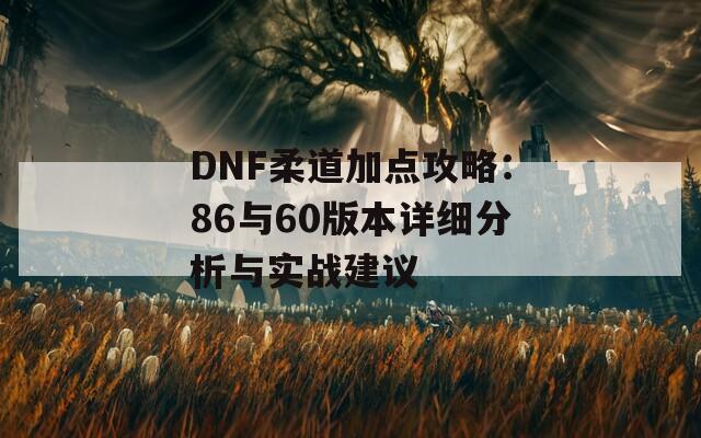 DNF柔道加点攻略：86与60版本详细分析与实战建议