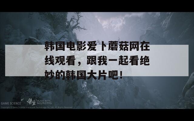 韩国电影爱卜蘑菇网在线观看，跟我一起看绝妙的韩国大片吧！