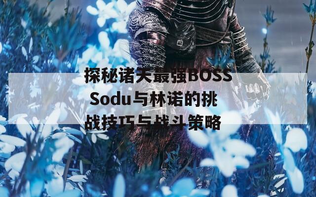 探秘诸天最强BOSS Sodu与林诺的挑战技巧与战斗策略