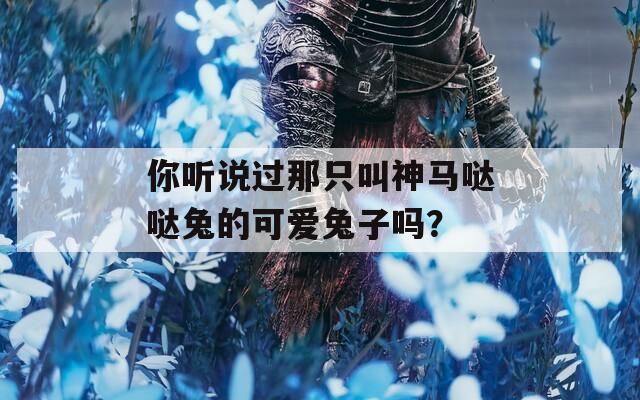 你听说过那只叫神马哒哒兔的可爱兔子吗？