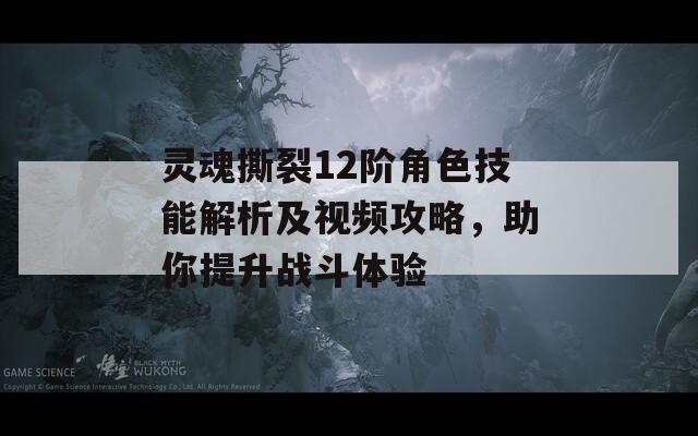 灵魂撕裂12阶角色技能解析及视频攻略，助你提升战斗体验