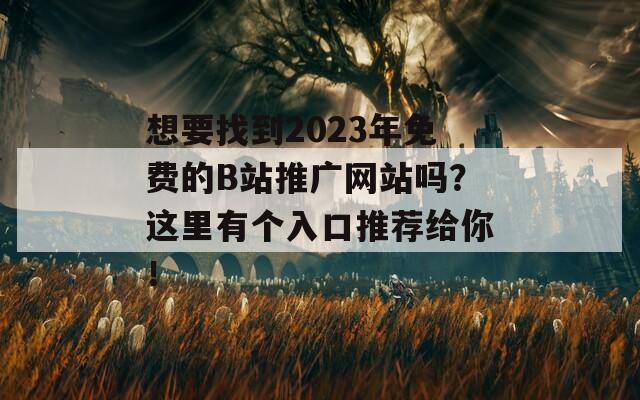 想要找到2023年免费的B站推广网站吗？这里有个入口推荐给你！