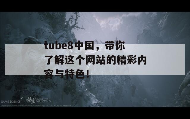 tube8中国，带你了解这个网站的精彩内容与特色！