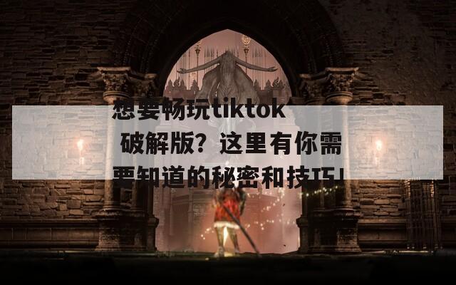 想要畅玩tiktok 破解版？这里有你需要知道的秘密和技巧！