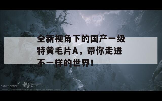 全新视角下的国产一级特黄毛片A，带你走进不一样的世界！