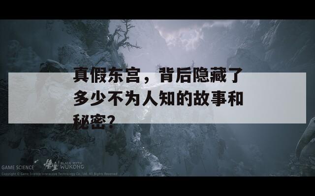 真假东宫，背后隐藏了多少不为人知的故事和秘密？