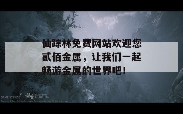 仙踪林免费网站欢迎您贰佰金属，让我们一起畅游金属的世界吧！