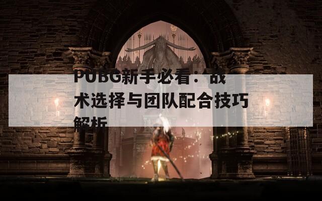 PUBG新手必看：战术选择与团队配合技巧解析