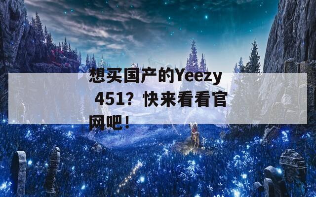 想买国产的Yeezy 451？快来看看官网吧！