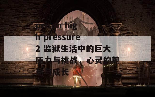 prison high pressure2 监狱生活中的巨大压力与挑战，心灵的煎熬与成长