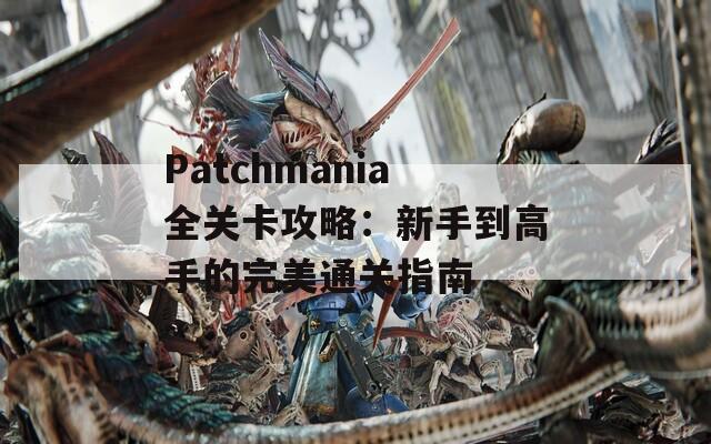 Patchmania全关卡攻略：新手到高手的完美通关指南