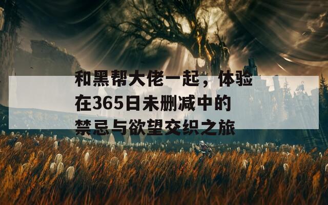 和黑帮大佬一起，体验在365日未删减中的禁忌与欲望交织之旅