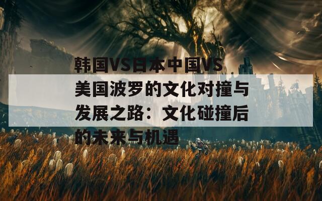 韩国VS日本中国VS美国波罗的文化对撞与发展之路：文化碰撞后的未来与机遇