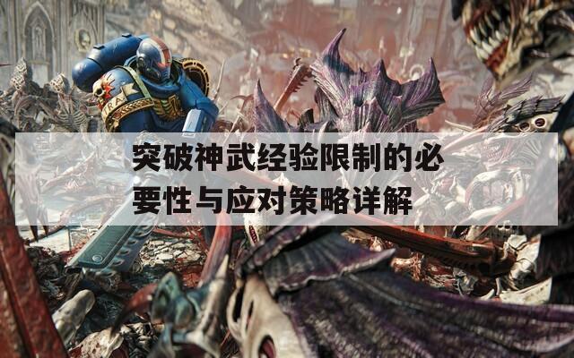 突破神武经验限制的必要性与应对策略详解