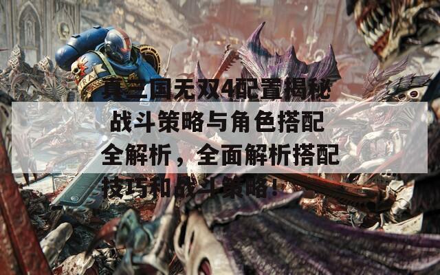 真三国无双4配置揭秘 战斗策略与角色搭配全解析，全面解析搭配技巧和战斗策略！