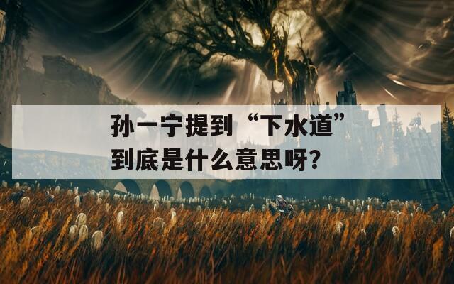 孙一宁提到“下水道”到底是什么意思呀？