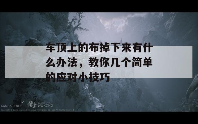 车顶上的布掉下来有什么办法，教你几个简单的应对小技巧