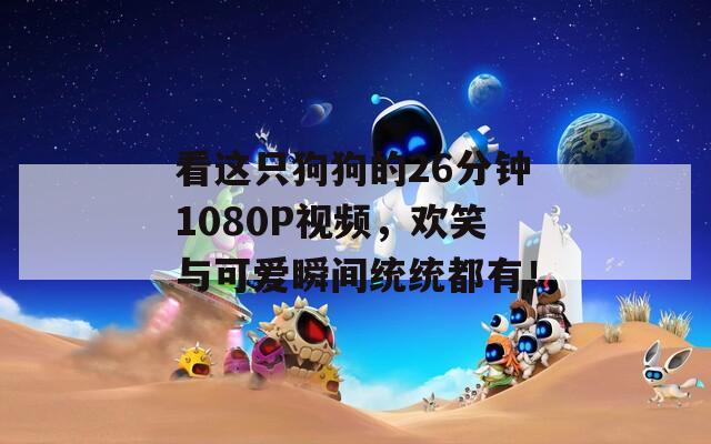 看这只狗狗的26分钟1080P视频，欢笑与可爱瞬间统统都有！