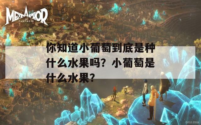 你知道小葡萄到底是种什么水果吗？小葡萄是什么水果？