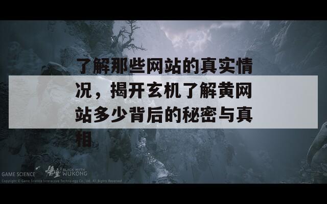 了解那些网站的真实情况，揭开玄机了解黄网站多少背后的秘密与真相