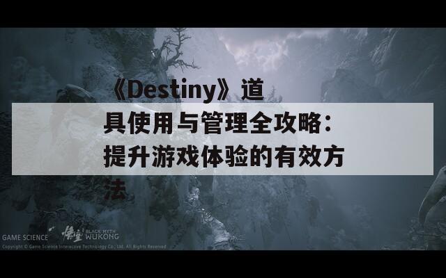 《Destiny》道具使用与管理全攻略：提升游戏体验的有效方法