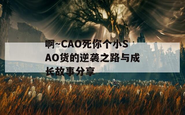 啊～CAO死你个小SAO货的逆袭之路与成长故事分享