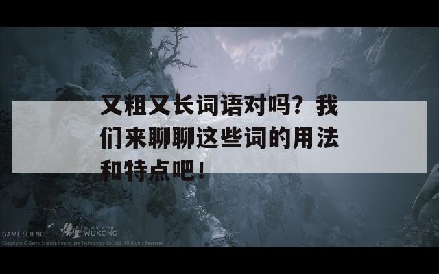 又粗又长词语对吗？我们来聊聊这些词的用法和特点吧！