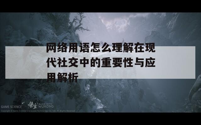 网络用语怎么理解在现代社交中的重要性与应用解析