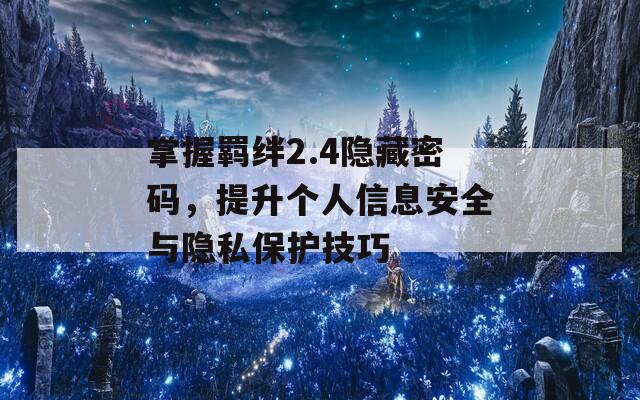 掌握羁绊2.4隐藏密码，提升个人信息安全与隐私保护技巧