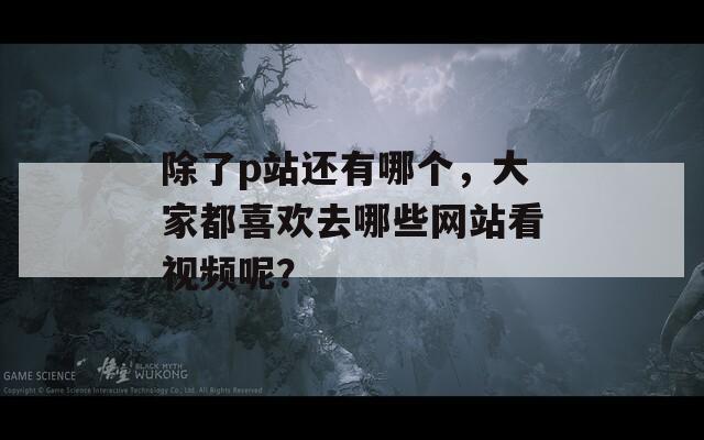 除了p站还有哪个，大家都喜欢去哪些网站看视频呢？