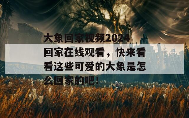 大象回家视频2024回家在线观看，快来看看这些可爱的大象是怎么回家的吧！