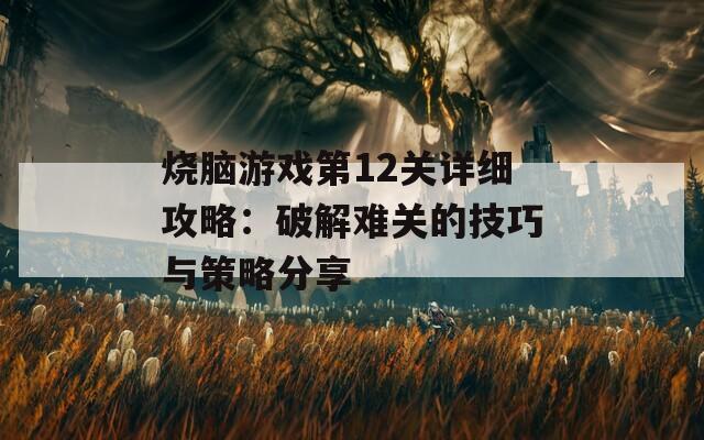 烧脑游戏第12关详细攻略：破解难关的技巧与策略分享